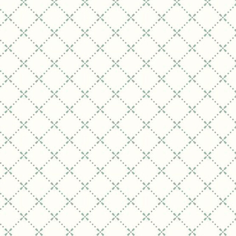 fabric pattern of a diagonal dotted grid check on a white background