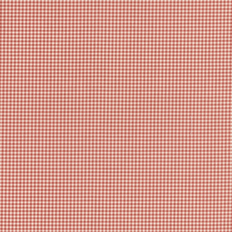 Tiny gingham print in red and white.