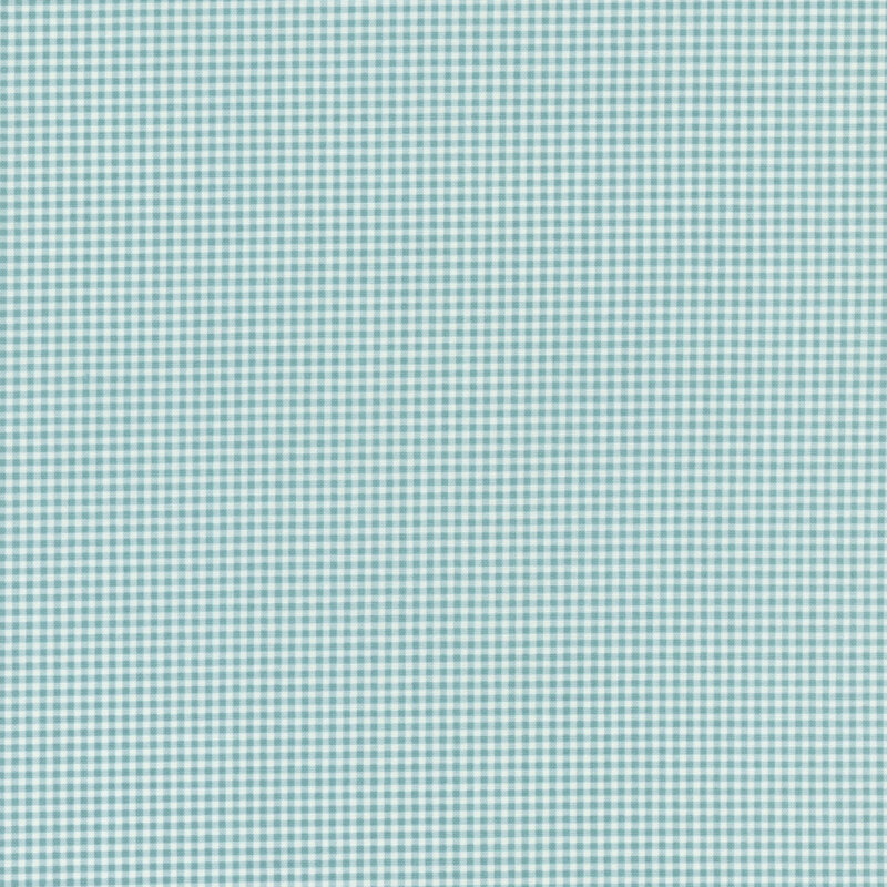 Tiny gingham print in aqua and white.