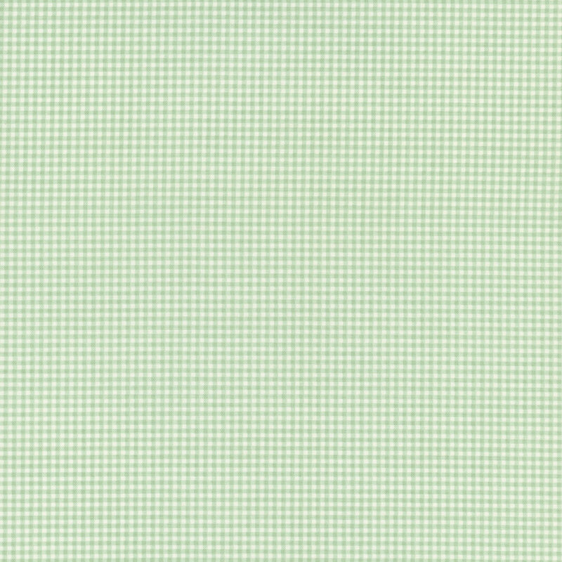 Tiny gingham print in mint green and white.