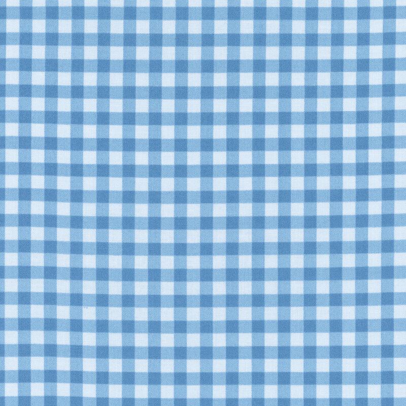 A blue and white gingham. 