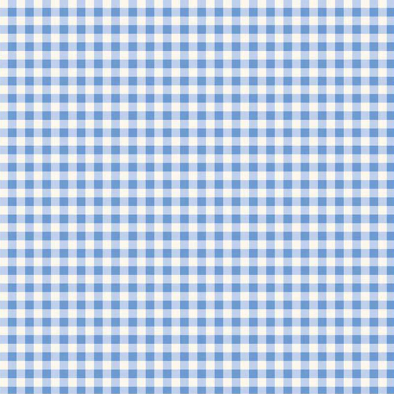 Blue and white gingham pattern with a checkered design.