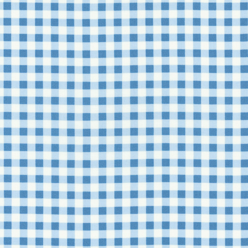 A blue and white gingham. 