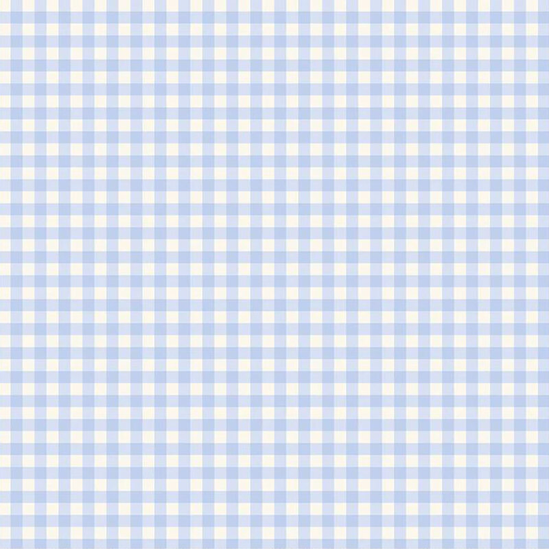 Light blue and white gingham pattern with evenly spaced squares throughout the fabric.