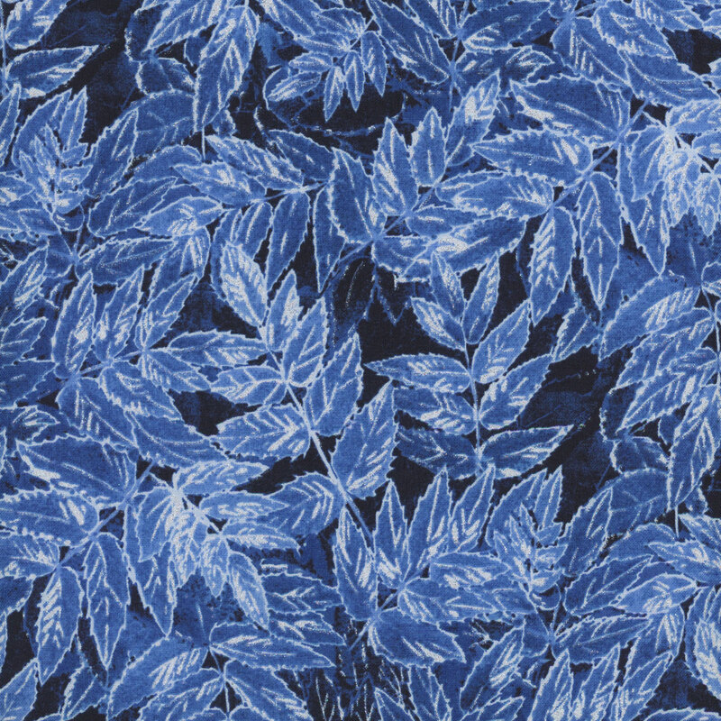 Blue leaves arranged densely against a dark background, showcasing intricate details and textures.