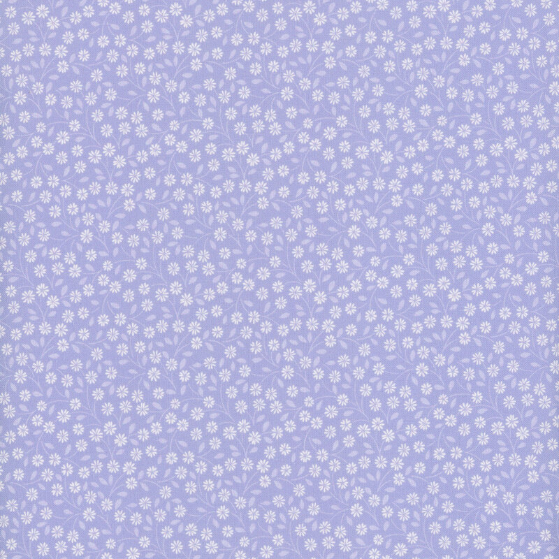 fabric pattern of white daisies all over a light blue background