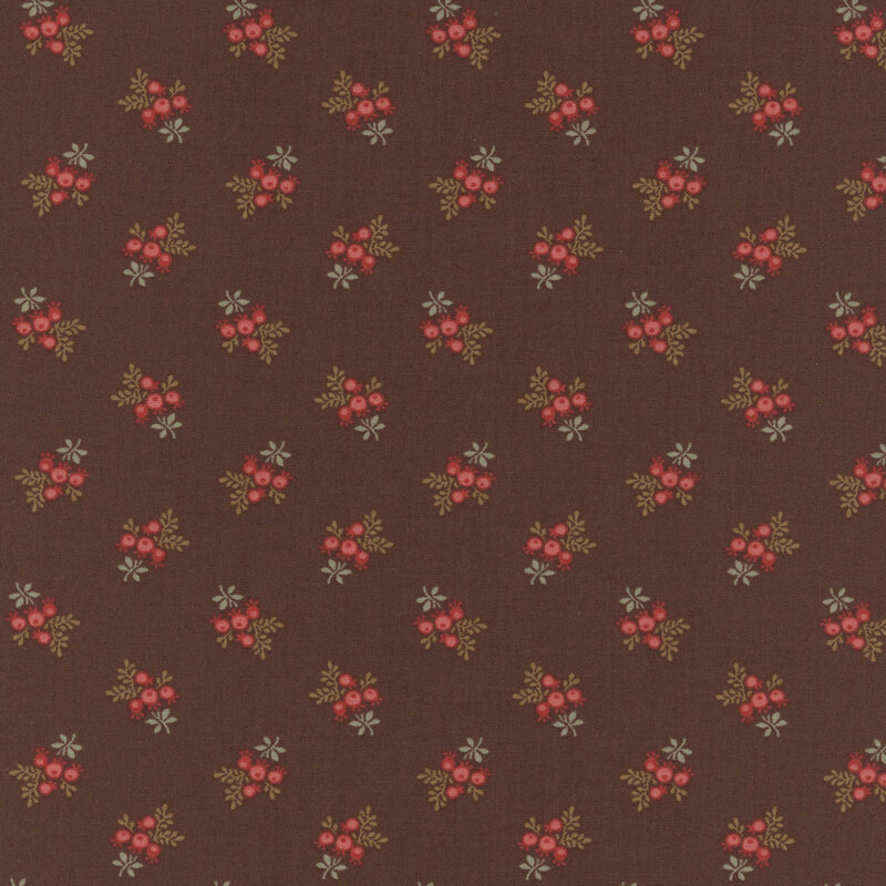 Delicate clusters of red berries and leaves on a brown background.
