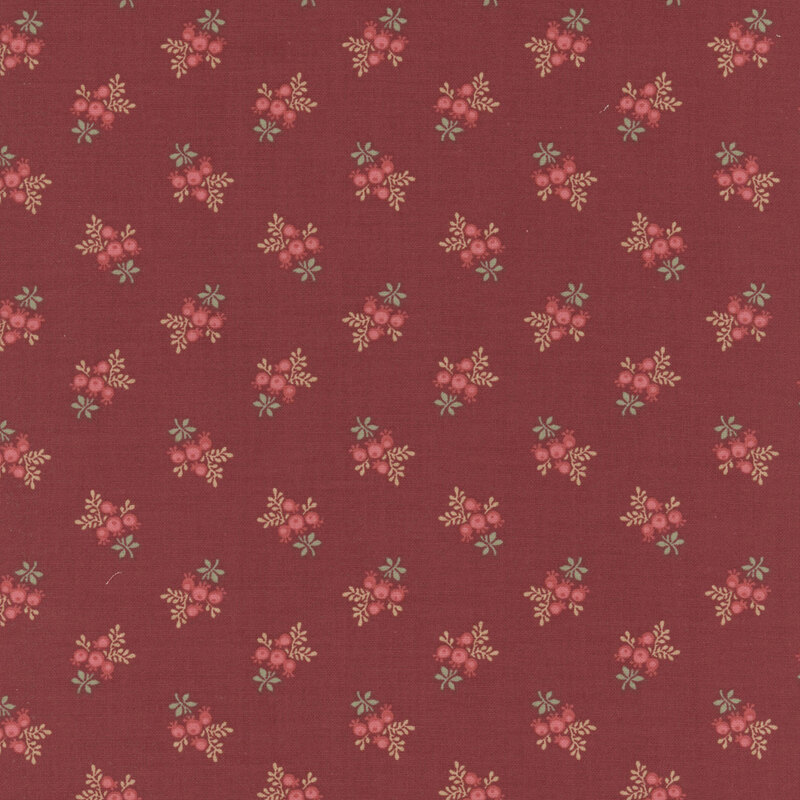 Delicate clusters of red berries and leaves on a red background.
