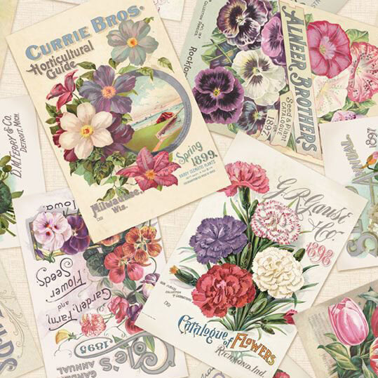 A collage of vintage floral seed packets featuring colorful flowers and decorative text.