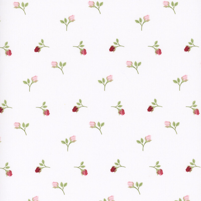 fabric pattern of roses on a white background