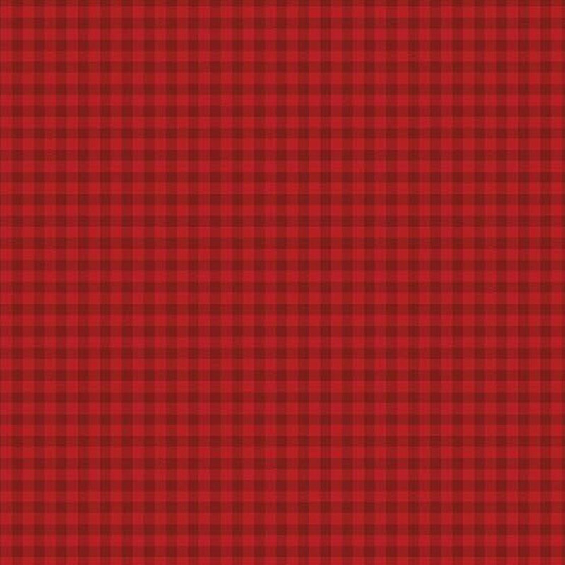 fabric pattern of a classic gingham in red