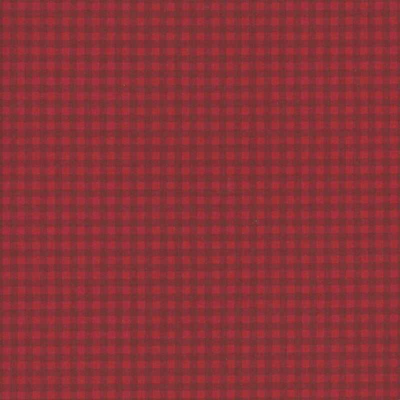 fabric pattern of a classic gingham in red