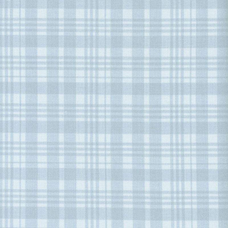 A blue plaid fabric. 