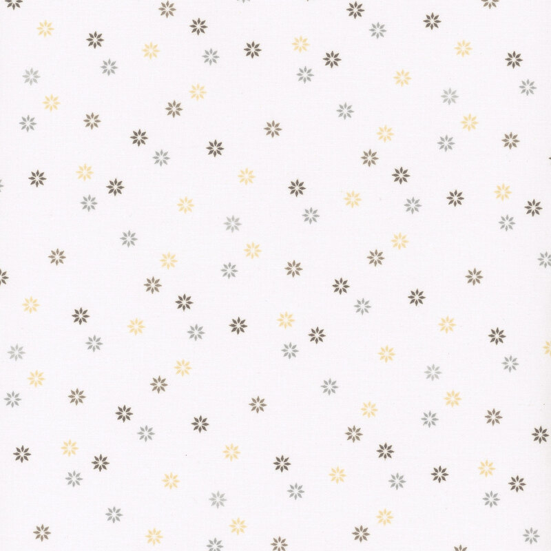 Multicolor starbursts tossed on a gray background.
