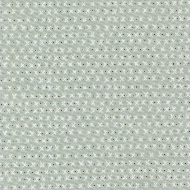 A repetitive pattern of small white X shapes on a light aqua background.