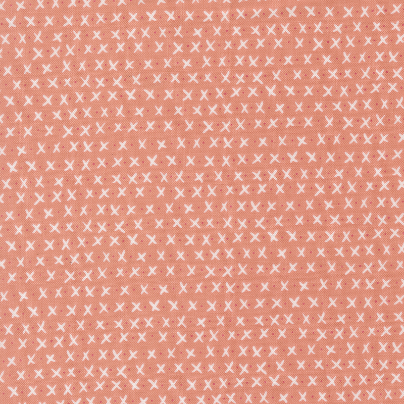 A repetitive pattern of small white X on a peach background.