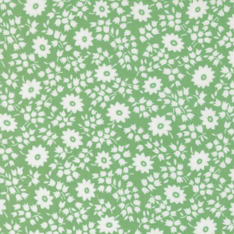 fabric pattern of white florals on a green background