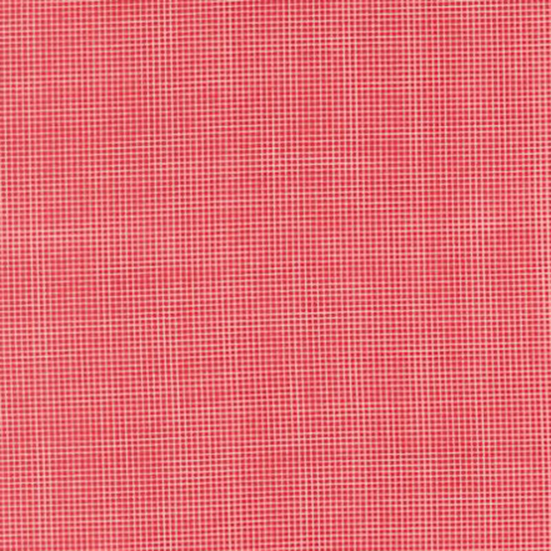 fabric pattern of a classic gingham in a red