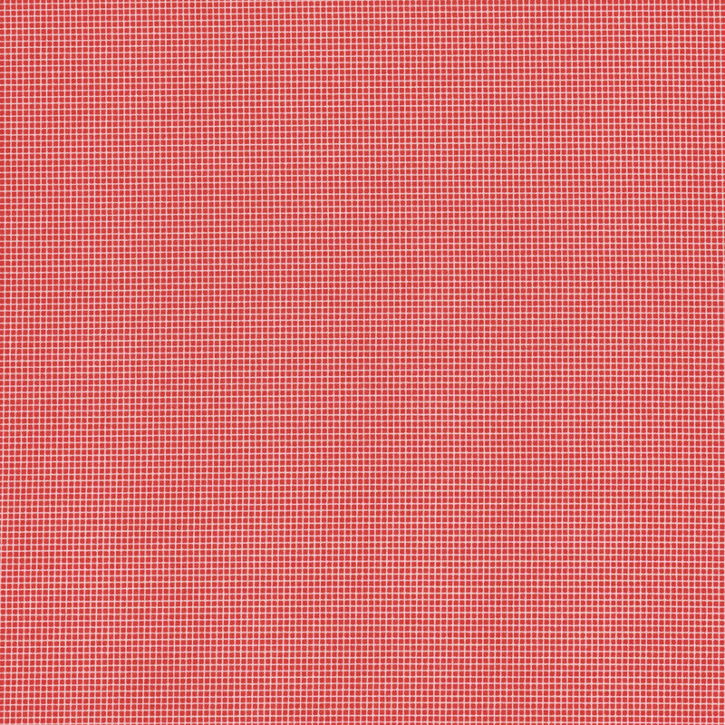 fabric pattern of a classic gingham in a red