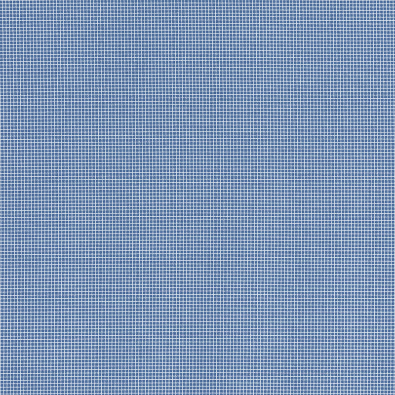 fabric pattern of a classic gingham in blue 