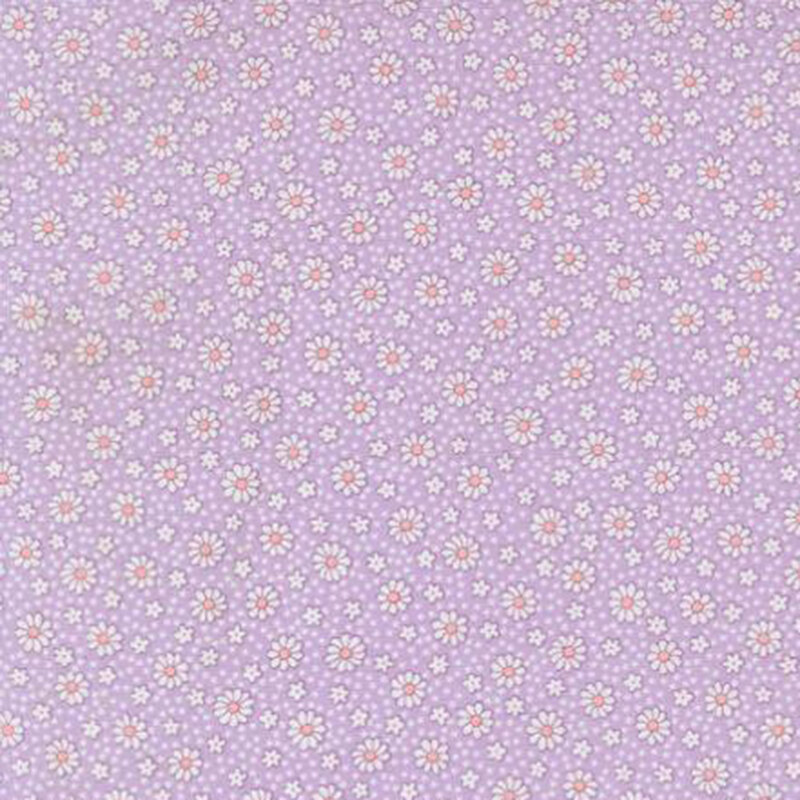 fabric pattern of white daises all over a lilac background