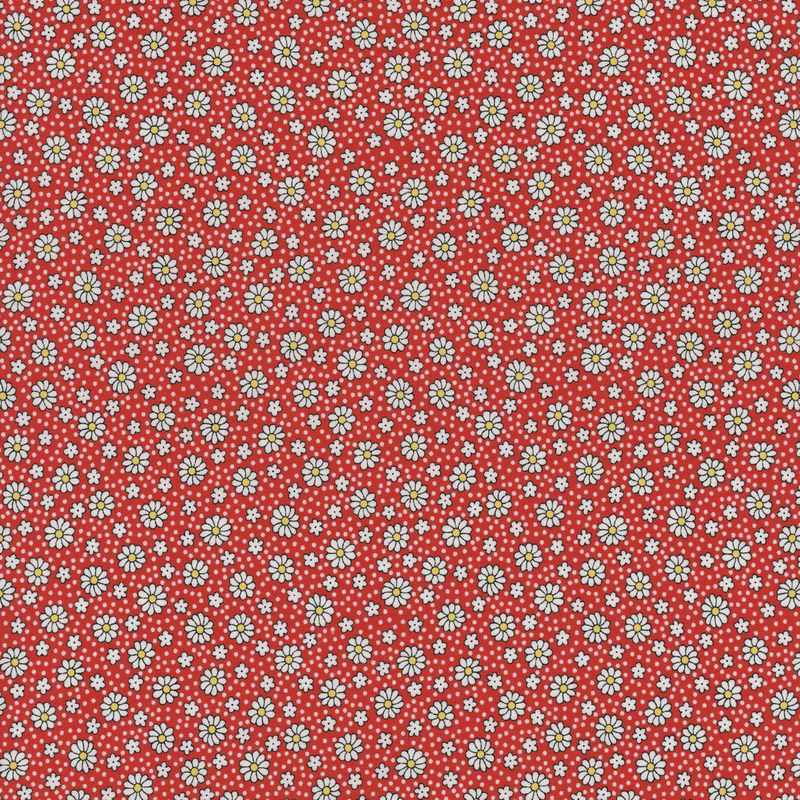 fabric pattern of white daises all over a red background