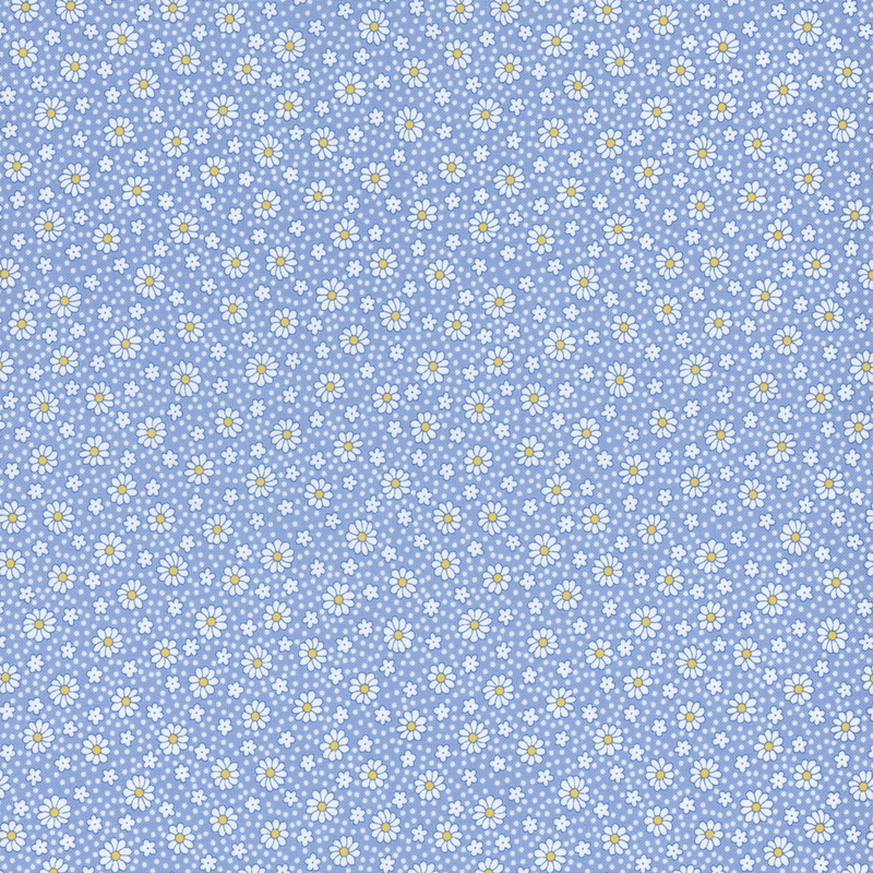 fabric pattern of white daises all over a blue background