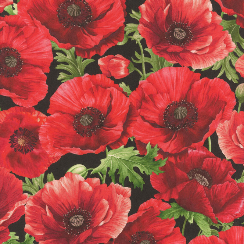 A vibrant pattern of red poppies with green leaves on a black fabric.
