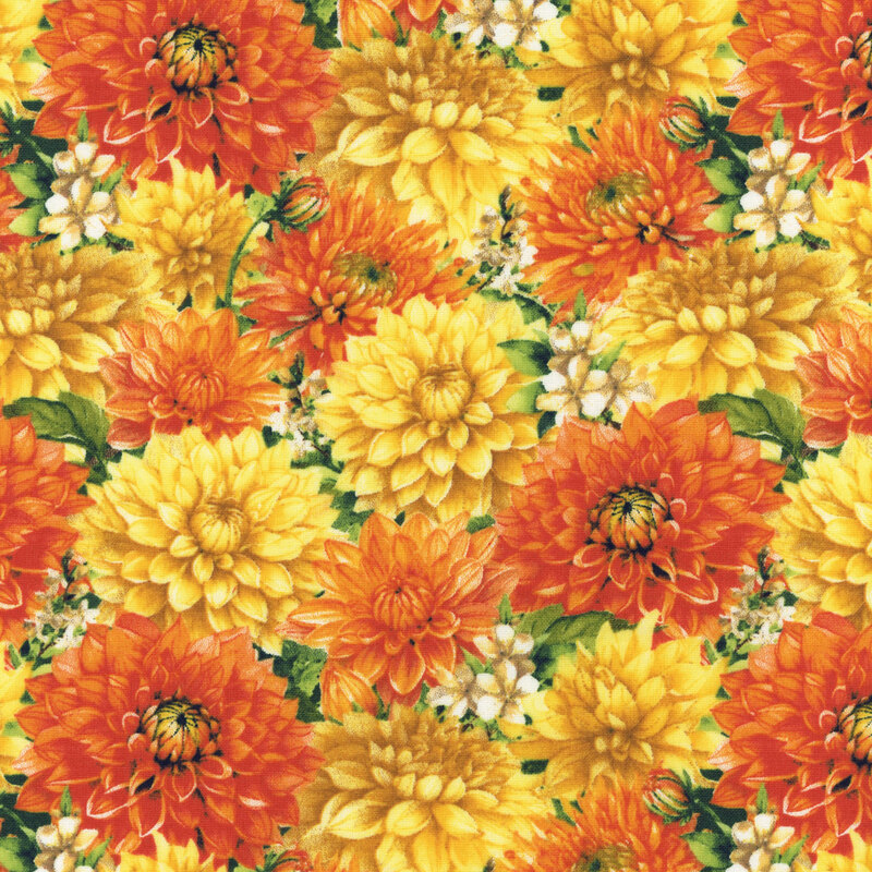 Yellow and orange dahlia flowers with small blooms on a leafy green background.