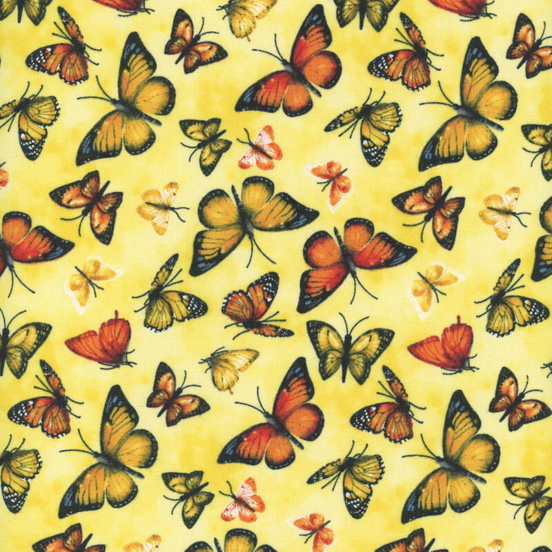 Yellow fabric with fluttering yellow and orange butterflies.