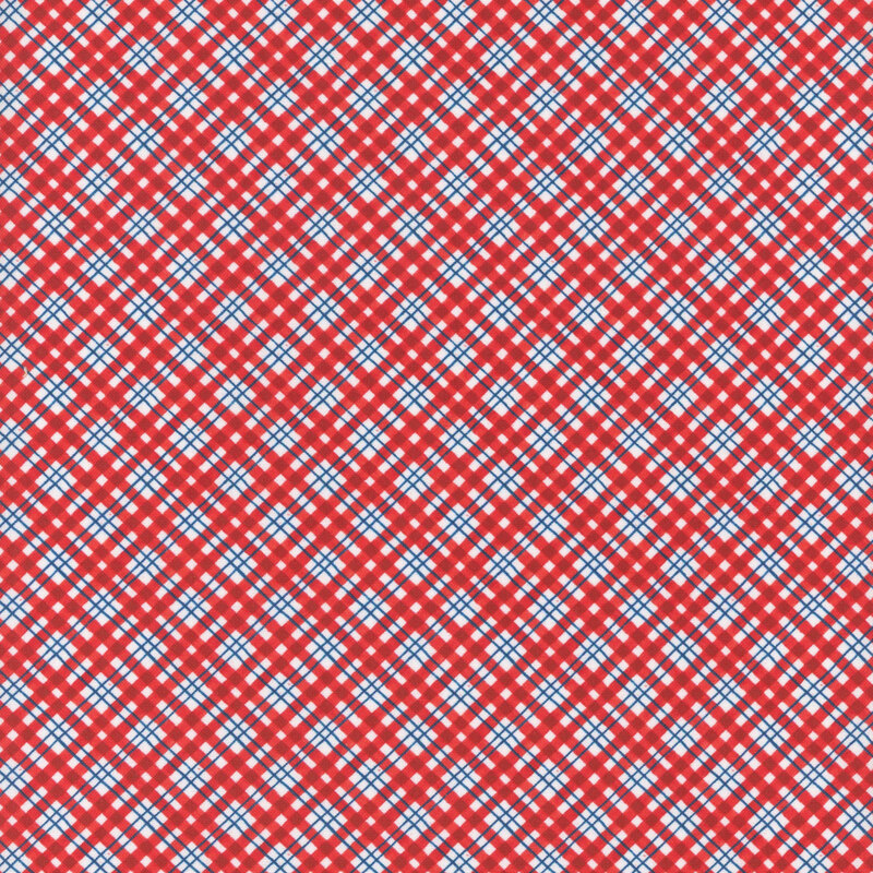 Red, white, and blue diagonal plaid fabric.