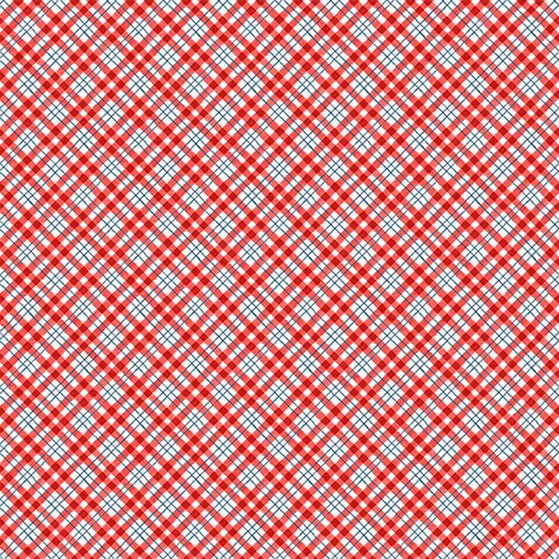 Red, white, and blue diagonal plaid fabric.