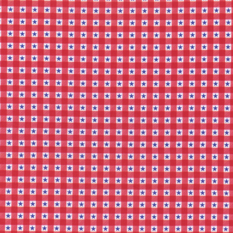A repeating gingham pattern of red and white squares with blue stars on a white fabric.