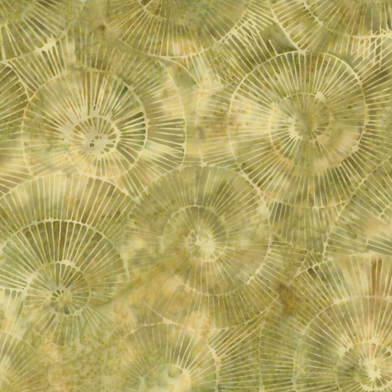 Abstract pattern of circular shapes in earthy tones, resembling watercolor textures and natural forms.