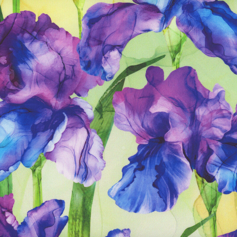 Purple iris flowers with green stems on a light green watercolor fabric.