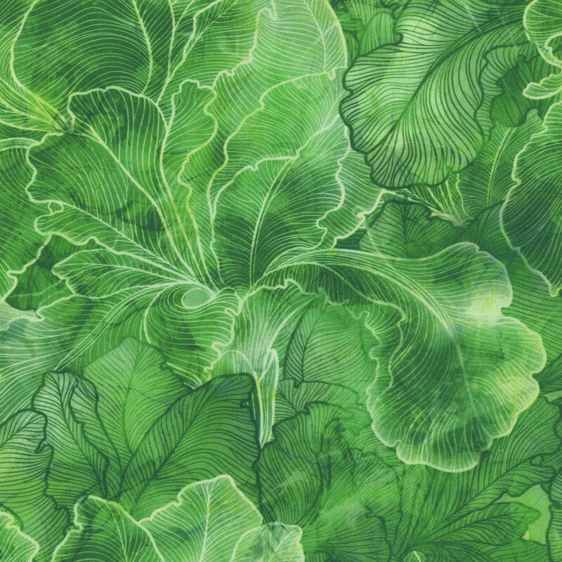 Packed mottled green iris flower petals.