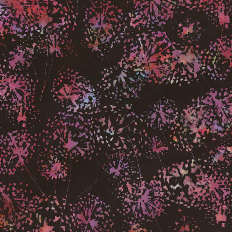 Vibrant pink and dusty rose dandelion flowers tossed on a black fabric.