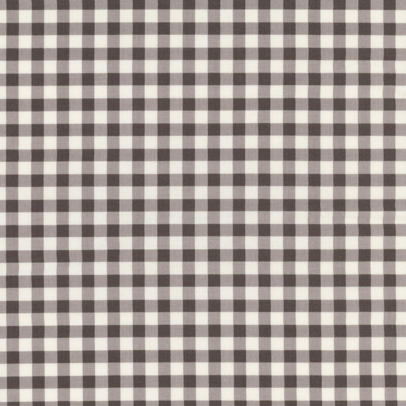 Black and white checkered pattern with evenly spaced squares.