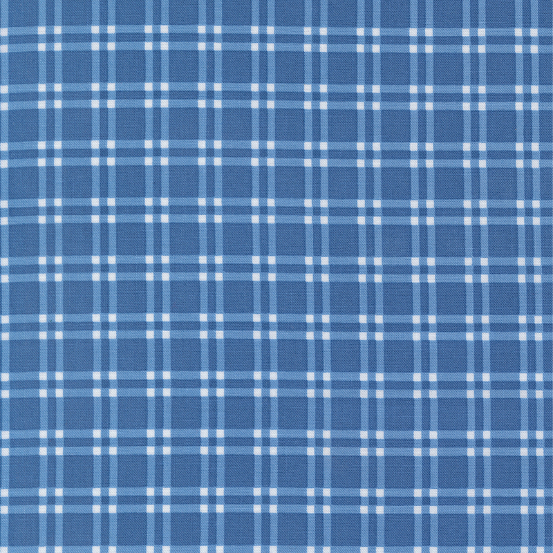 Light blue fabric with a white and lighter blue plaid pattern.