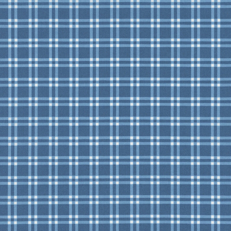 Light blue fabric with a white and lighter blue plaid pattern.