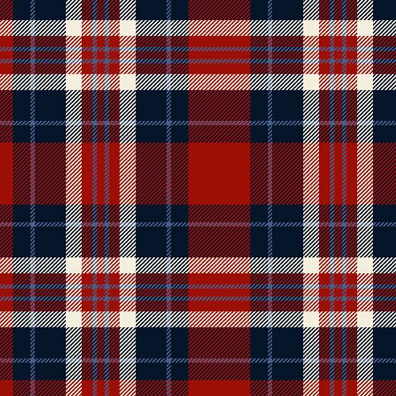 Red, white and blue plaid fabric