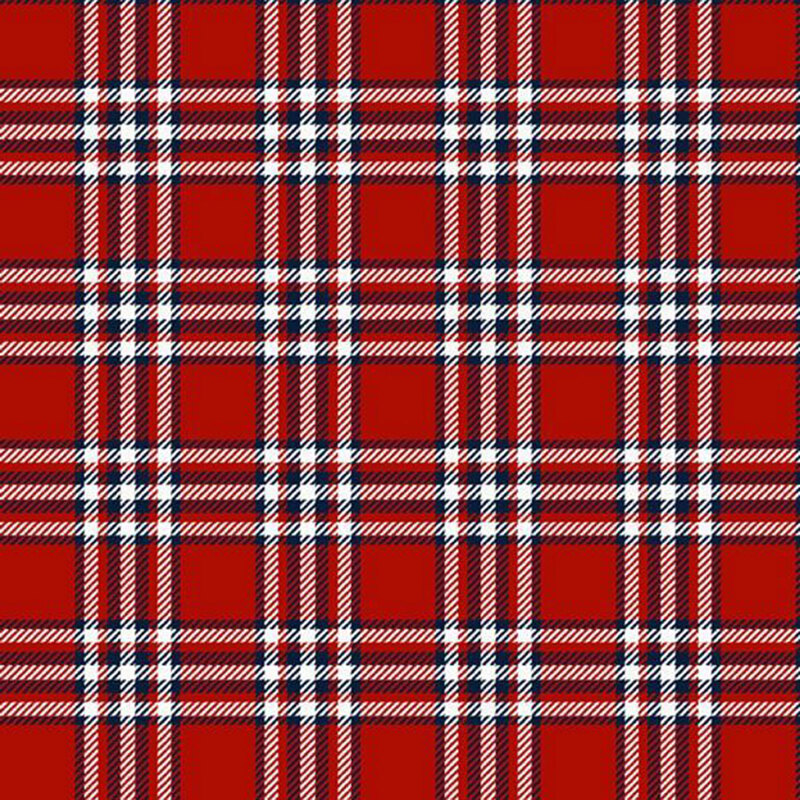 Red fabric with blue and white plaid.