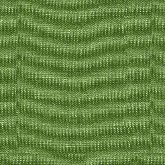 Close-up of a textured green fabric surface with a woven pattern.