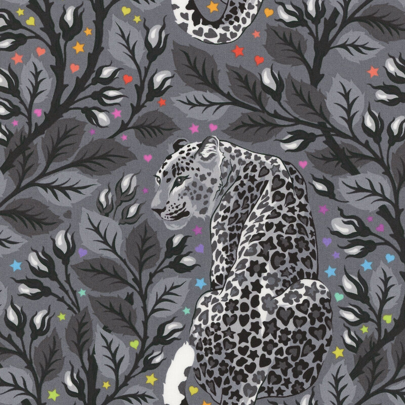 Dark gray fabric featuring leopards and leafy vines with flower buds surrounded by tiny colorful hearts and stars
