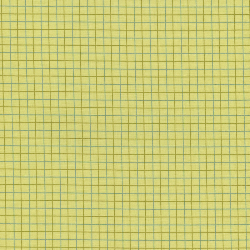 A lime green plaid pattern with thin turquoise and darker green grid lines.