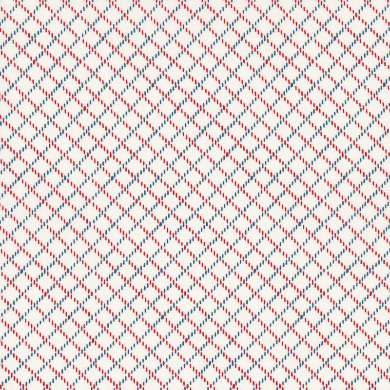 dotted red and blue lines in an lattice geometric design on a white background