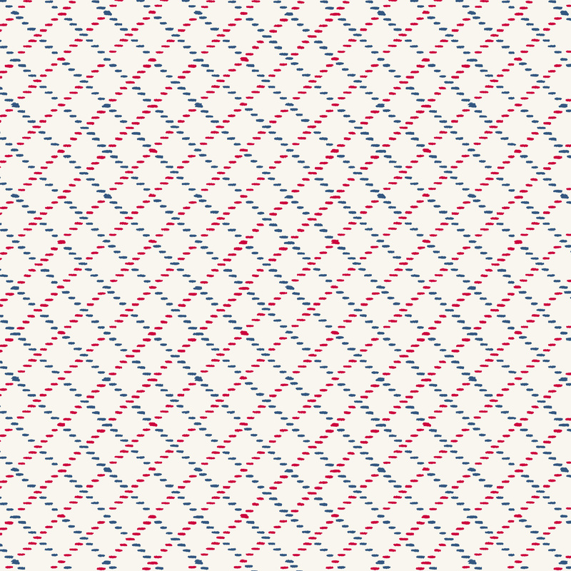 dotted red and blue lines in an lattice geometric design on a white background