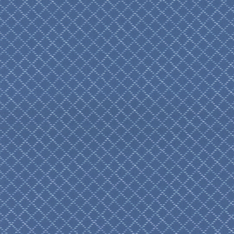 dotted tonal lines in a lattice geometric pattern on blue fabric