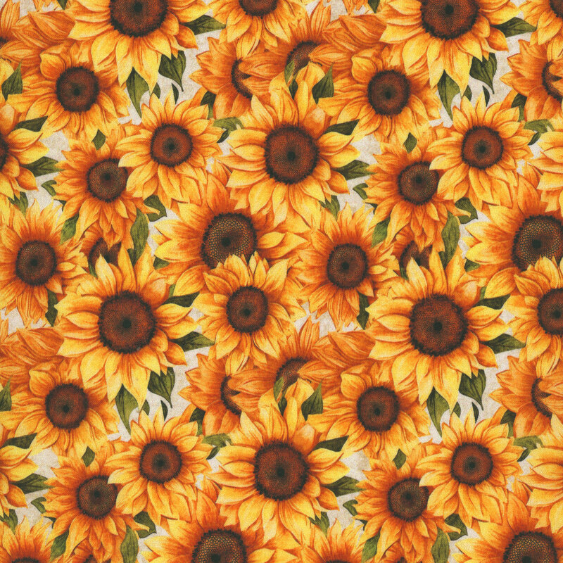 Bright yellow, gold, and orange sunflower flowerheads packed on white fabric