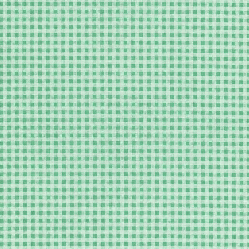 Mint green gingham fabric.